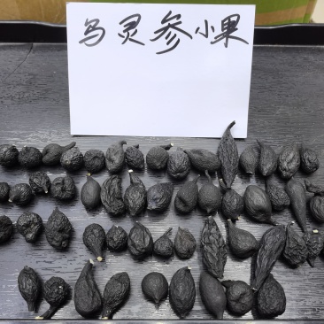 野生乌灵参全国发货品质保障欢迎电话联系