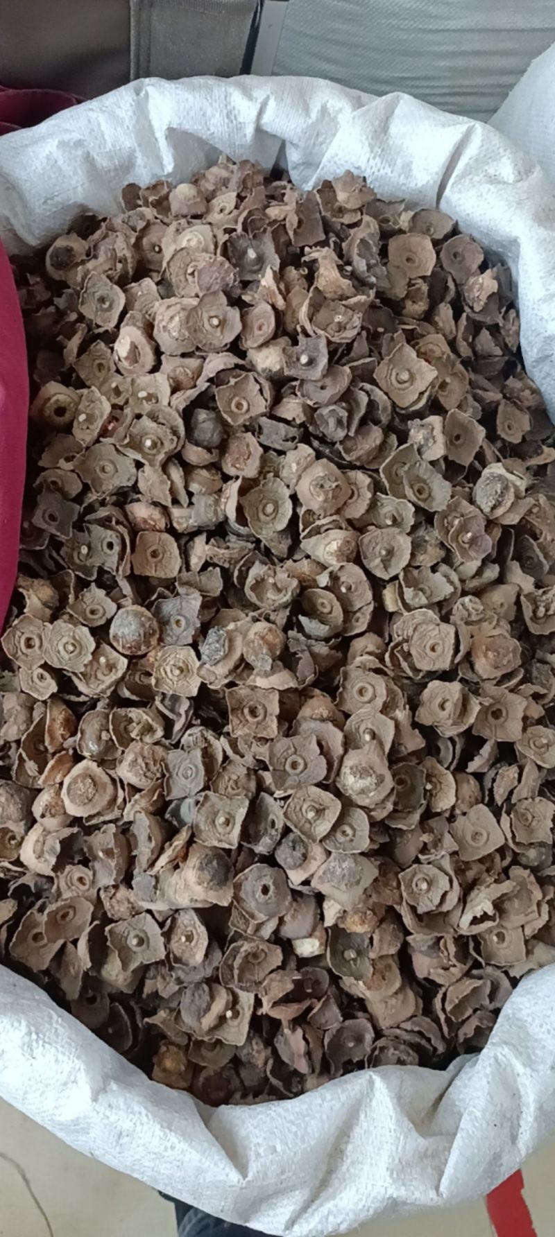 柿蒂中药材柿蒂产地直销大货供应