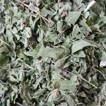 罗布麻叶中药材罗布麻大货供应一件包邮