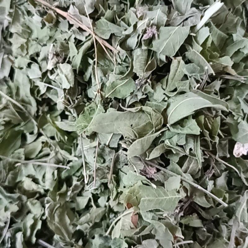 罗布麻叶中药材罗布麻大货供应一件包邮