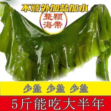 盐渍海带整颗5斤