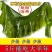 盐渍海带整颗5斤