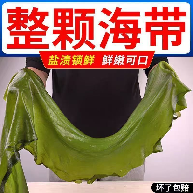 盐渍海带整颗5斤