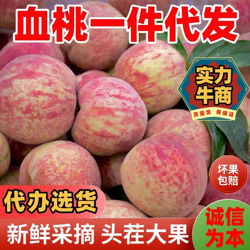 一件代发河南朱砂红血桃对接电商新鲜采摘桃子代办选货