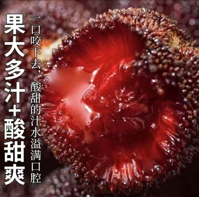 一件代发～仙居杨梅顺丰包邮，对接各大电商平台