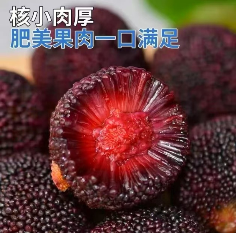 一件代发～仙居杨梅顺丰包邮，对接各大电商平台