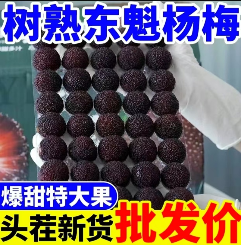 一件代发～仙居杨梅顺丰包邮，对接各大电商平台