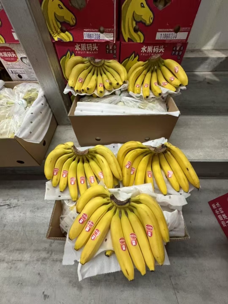 本公司常年供应，特价菲律宾二级黄蕉，香甜软糯。保质保量。