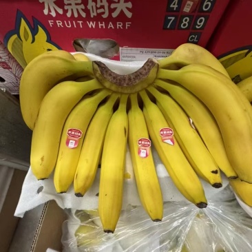 本公司常年供应，特价菲律宾二级黄蕉，香甜软糯。保质保量。