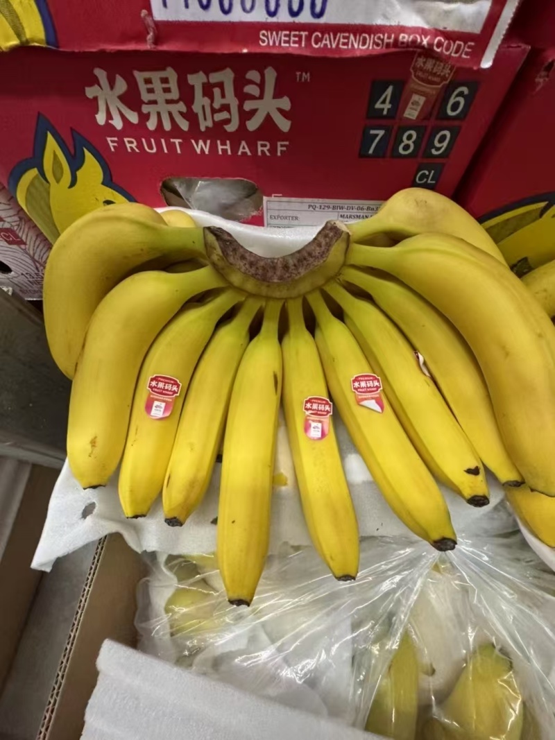 本公司常年供应，特价菲律宾二级黄蕉，香甜软糯。保质保量。