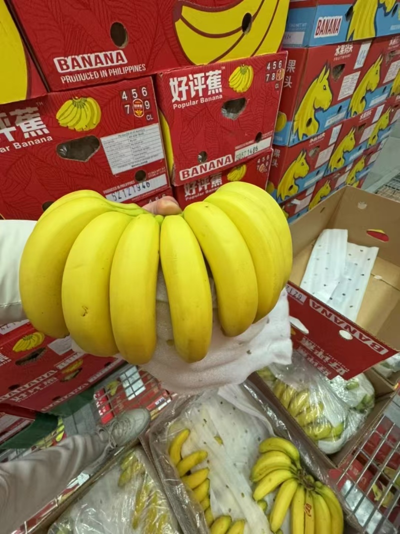 本公司常年供应，特价菲律宾二级黄蕉，香甜软糯。保质保量。