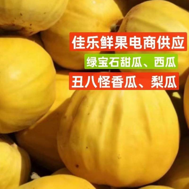 湖北甜瓜绿宝瓜丑八怪田园直发对接超市电商平台