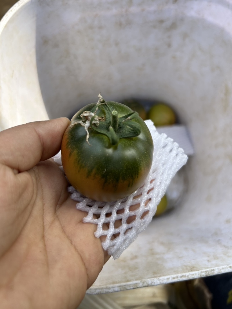 草莓西红柿🍅