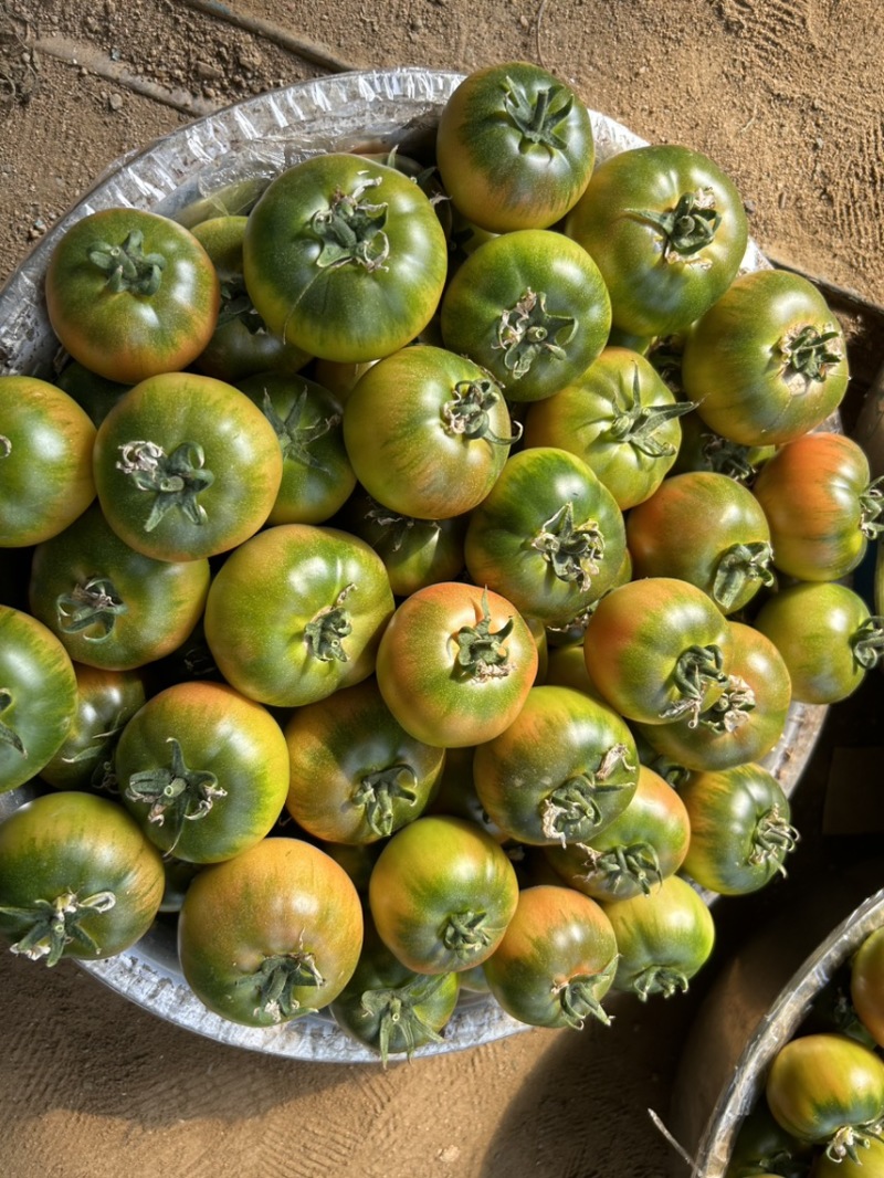 草莓西红柿🍅