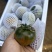 草莓西红柿🍅