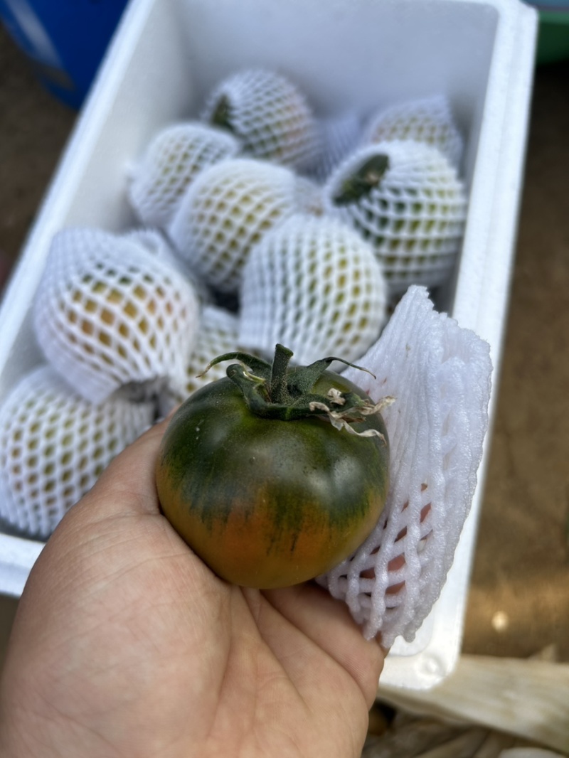 草莓西红柿🍅