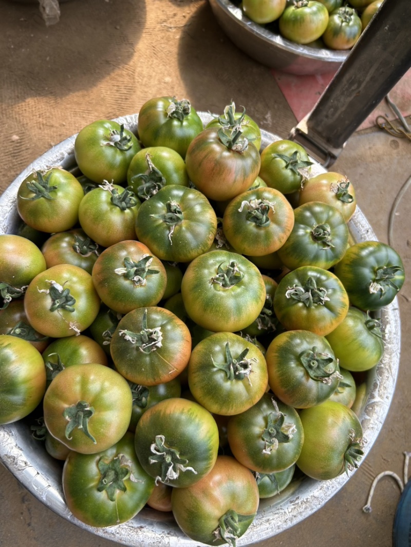 草莓西红柿🍅