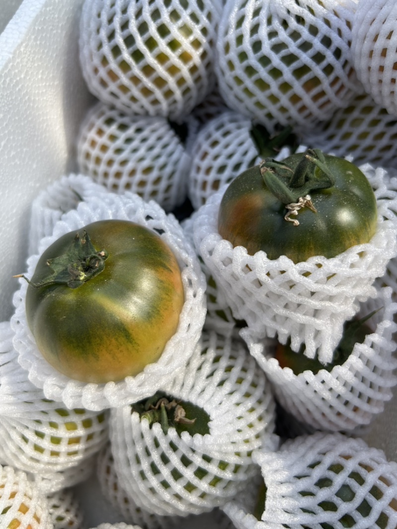 草莓西红柿🍅