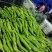 大量供应精品陇椒