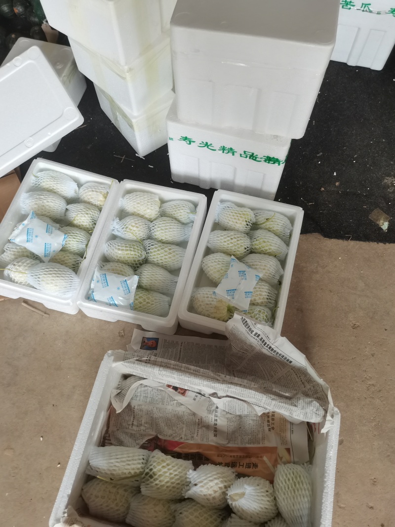 苹果苦瓜一件代发