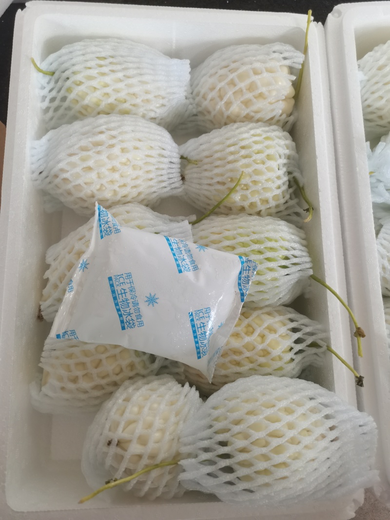 苹果苦瓜一件代发