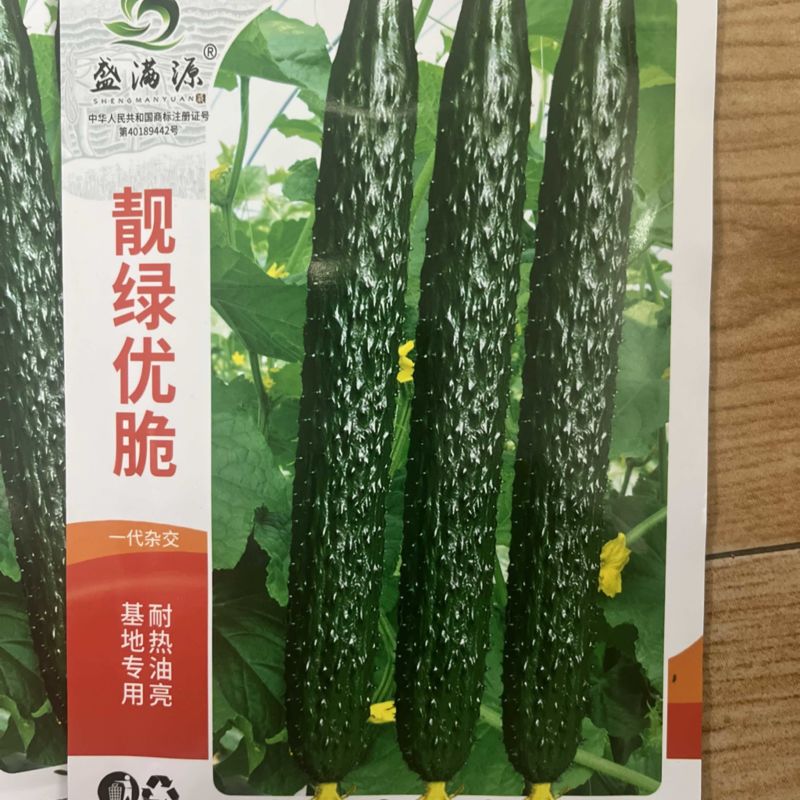 基地专用源头直供耐热抗病油亮绿肉黄瓜种子