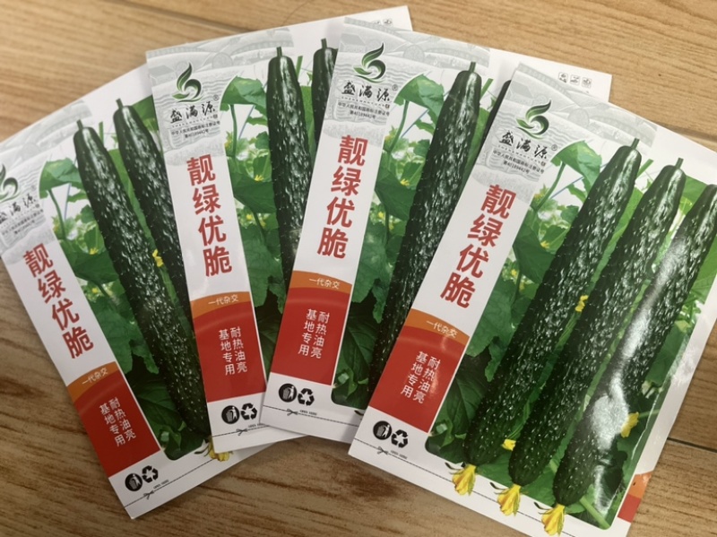 基地专用源头直供耐热抗病油亮绿肉黄瓜种子