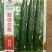 基地专用源头直供耐热抗病油亮绿肉黄瓜种子