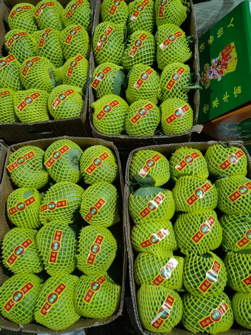 绿宝甜瓜大量上市各种甜瓜品种齐全内黄发货欢迎选购