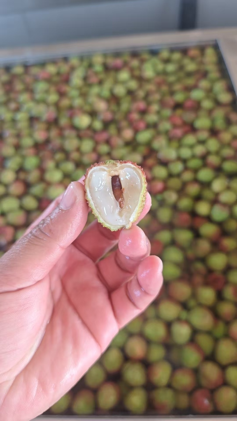 荔枝，妃子笑荔枝现货供应抖音直播电商代发