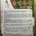 基地专用优质耐热豇豆豆角种子源头厂家直发