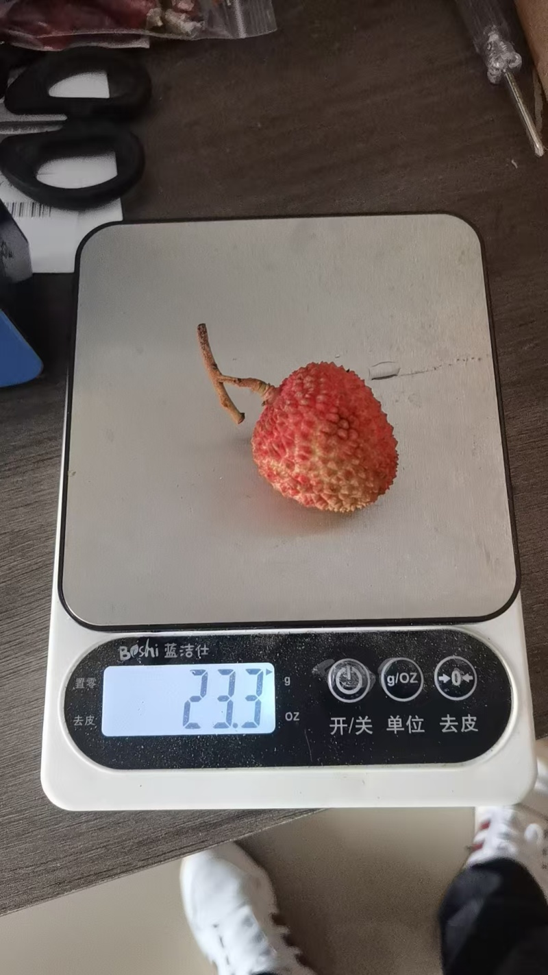 荔枝，妃子笑，白糖罂小核荔枝保证品质电商代发