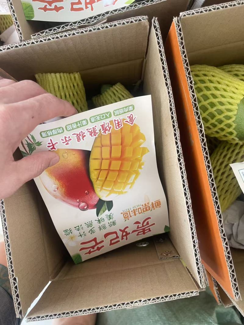 金煌芒，桂七芒现货一件代发，保质保量对接电商