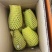 金煌芒，桂七芒现货一件代发，保质保量对接电商