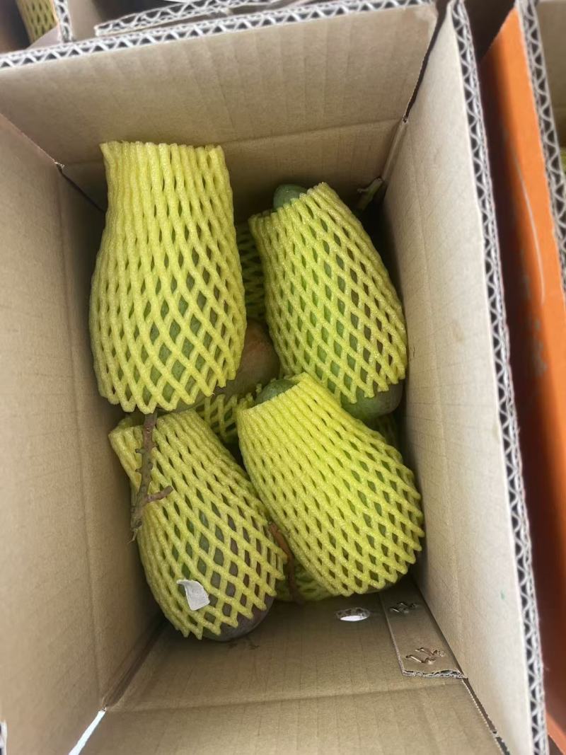 金煌芒，桂七芒现货一件代发，保质保量对接电商