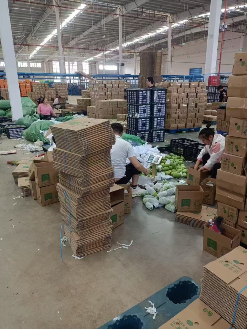 芒果，桂七芒，金煌芒，产地直发对接社区团购电商代发