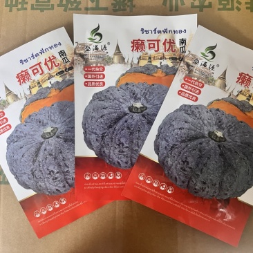 基地专用源头直供泰国南瓜癩子南瓜种子
