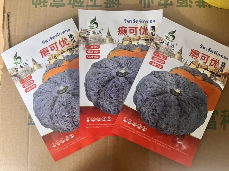 基地专用源头直供泰国南瓜癩子南瓜种子