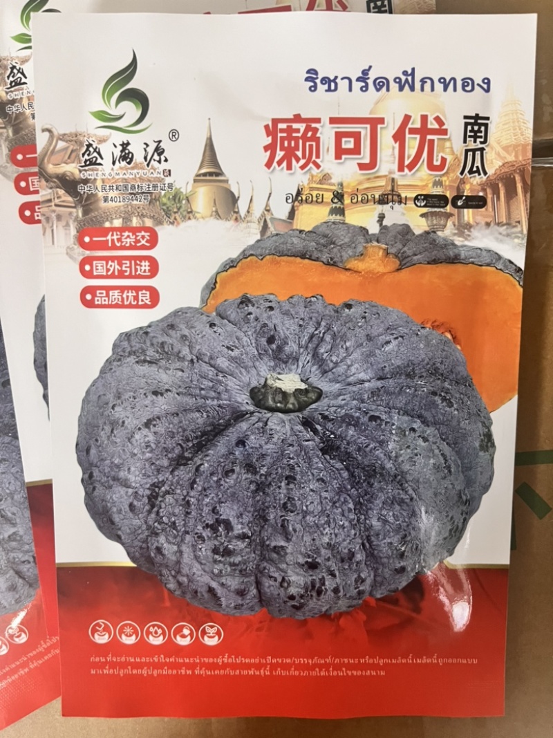 基地专用源头直供泰国南瓜癩子南瓜种子