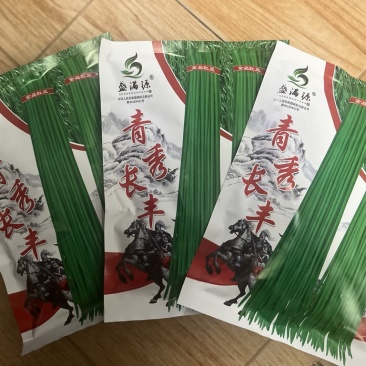 基地专用优质耐热豇豆豆角种子源头厂家直发
