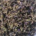 葛花葛根花批发各种规格中药材花茶质量保证