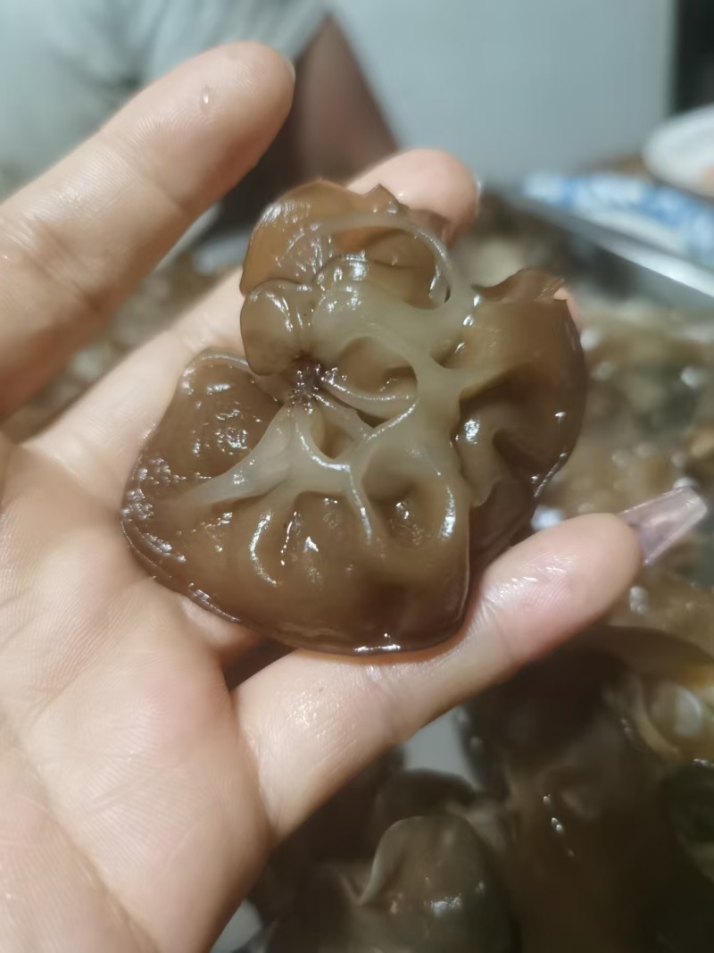 肉木耳14一斤