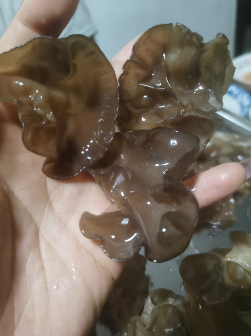 肉木耳14一斤