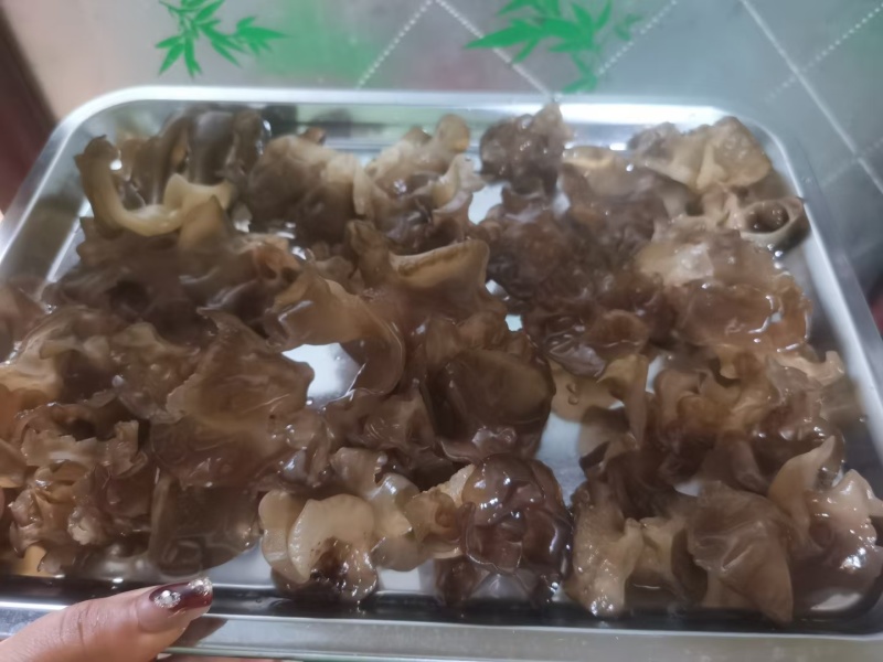 肉木耳14一斤