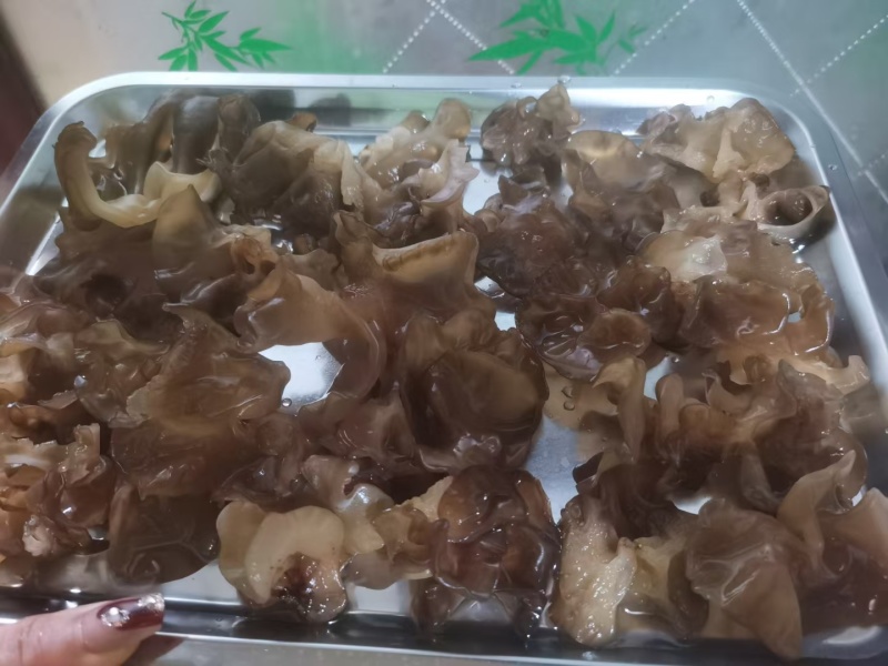 肉木耳14一斤
