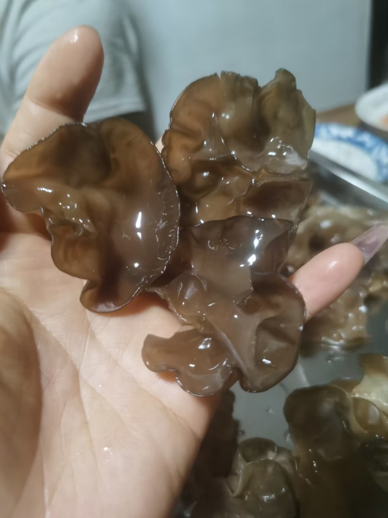肉木耳14一斤