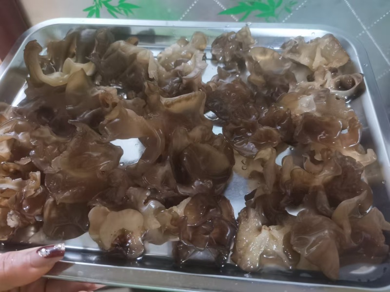 肉木耳14一斤
