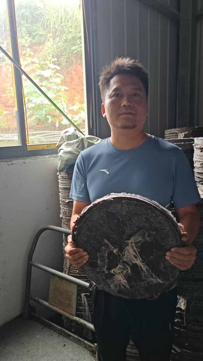 厂家直销茶粕茶枯茶皂素清塘杀杂鱼福寿螺不伤虾蟹