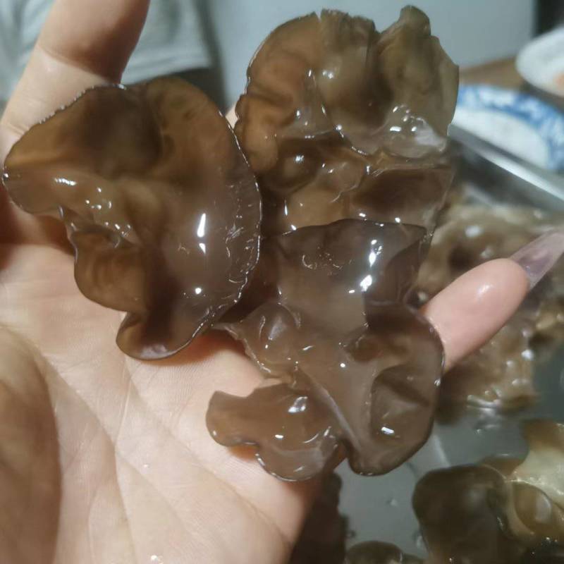 肉木耳14一斤