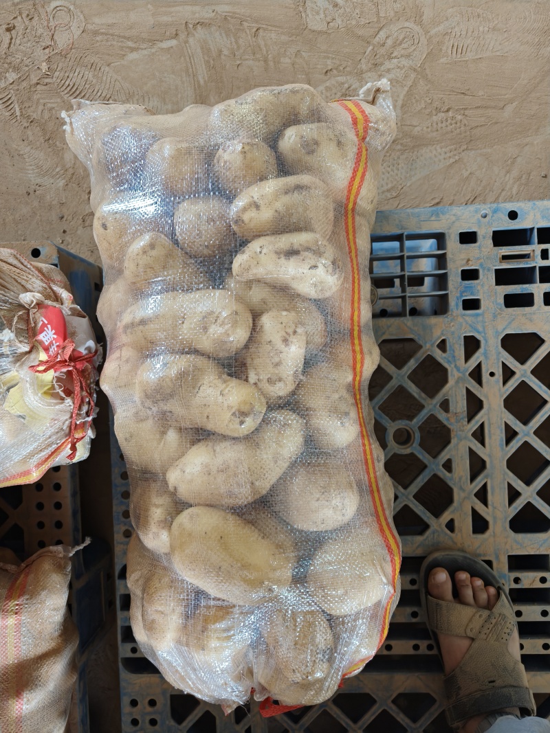荷兰十五微残有机械伤量大表皮干净大小规格都有按需分拣打包